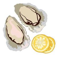 Oysters vector stock illustration. Clam shells and lemons. Fine sea food for the menu. Isolated on a white background.