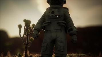 astronaut in de hoge woestijn van Nevada video