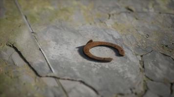 one old rusty metal horseshoe