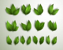 Set of green leaves. 3d elements for spring, summer design. Vector Illustration