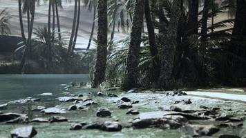 Panorama of Beautiful Oasis surrounded by sand dunes video