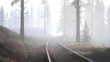 Leere Eisenbahn fährt morgens durch nebligen Wald video