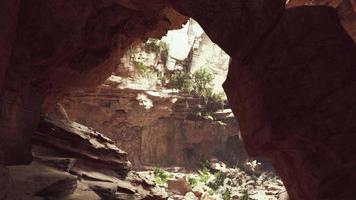 large fairy rocky cave with green plants video