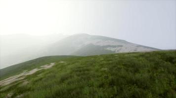 antenn gröna kullar landskap i dimma video