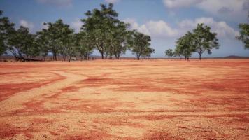 cracked ground dry land during the dry season video