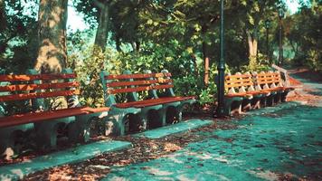 Empty benches at public park during curfew cause of Corona Virus quarantine video