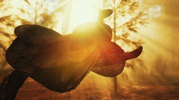 vintage Leather horse saddle on the dead tree in forest at sunset video