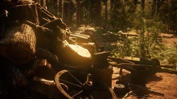 Preparation of firewood for the winter in forest at sunset video