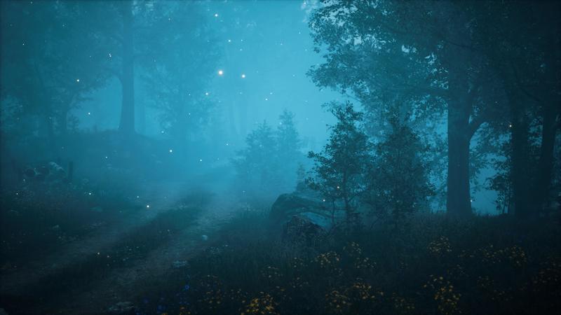 Night Forest Loop Stock Video Footage for Free Download