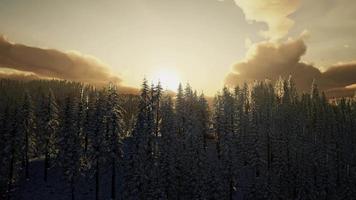 Winter Landscape on a Sunset video