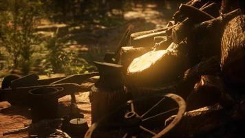 preparación de leña para el invierno en el bosque al atardecer video