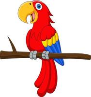 Cute cartoon macaw sitting on a branch vector