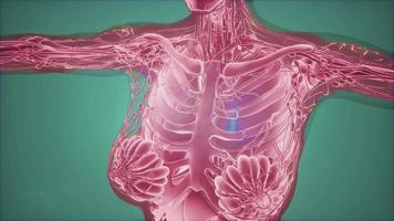 Mammogram radio imaging for breast cancer diagnosis video