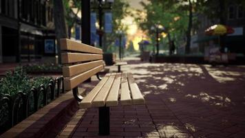 ruhiger Stadtpark mit Bäumen und Bänken video