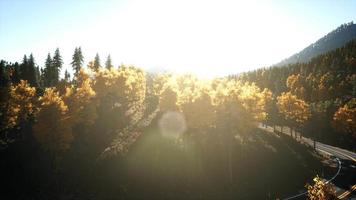 Vuelo aéreo con drones sobre un bosque de pinos en la montaña al atardecer video