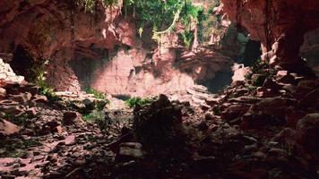 large fairy rocky cave with green plants video