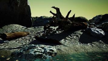 Time lapse of logs on a beach coast of Majorca video