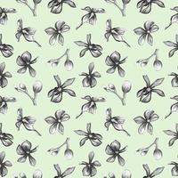 Seamless pattern of orchids on a green background vector