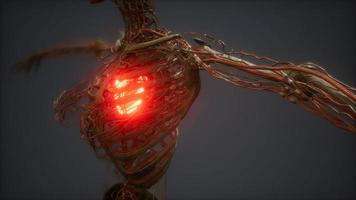 animación cg de un corazón humano enfermo video