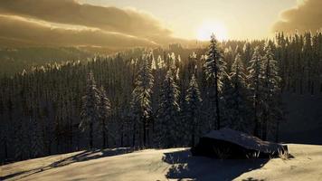 fantastique paysage d'hiver en soirée video