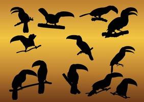 Toucan bird animal silhouettes vector