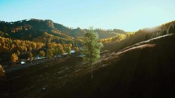 paysage de montagne 8k dans les montagnes rocheuses du colorado video