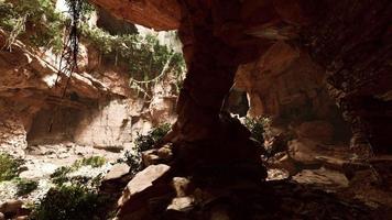 a vista dentro da caverna de fadas coberta de plantas verdes auto-iluminadas video