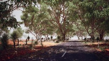 strada aperta in australia con alberi a cespuglio video