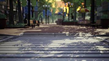 ruhiger Stadtpark mit Bäumen und Bänken video