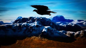al rallentatore aquila calva americana in volo sopra le montagne dell'alaska video