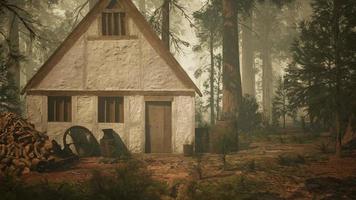 antigua casa de madera en el bosque de otoño video