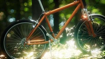 Mountain bike on the forest path video