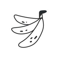 Bunch of bananas in simple black and white doodle style isolated on white background. Vector hand drawn doodle illustration.