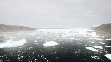 stor glaciär i bergen i alaska på sommaren video