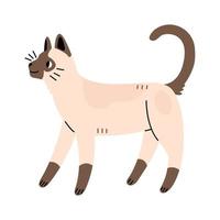 Siamese cute cat in flat cartoon style. Vector illustration isolated on white background.