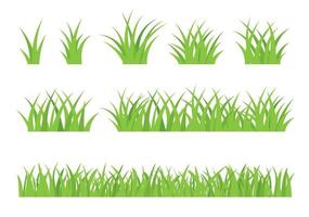 hierba verde primavera aislada sobre fondo blanco. conjunto de bordes de hierba. vector