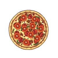 ilustración aislada de pizza vector