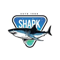 shark logo design vector