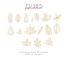 autumn set leaf hand drawn vector