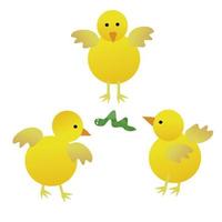 Three baby chick with a leaf worm in transparent background. vector