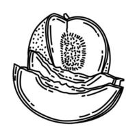 Muskmelon Icon. Doodle Hand Drawn or Outline Icon Style. vector