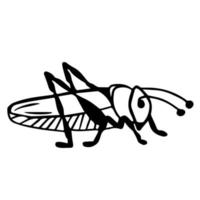 grasshopper, locust in the style of doodles, insect. vector illustration of cricket sketch, isolated, animal view from above