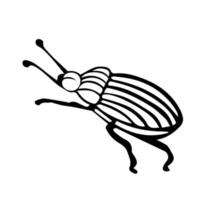striped bug with whiskers, Colorado beetle, insect in the style of doodles. Vector black simple insects, pest. sketch, element, icon, hand-drawn. vintage side view