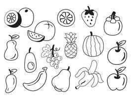 ILLUSTRATION OUTLINE OF FRUITS vector