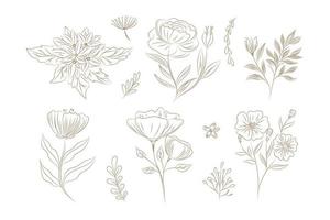 oodles Herbs and flowers, set of hand-drawn flowers, floral set of wildflowers and herbs, vector objects isolated on a white background. One Line Drawing Vector Flowers Print Set. Botanical