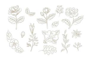 montones de hierbas y flores, un conjunto de flores dibujadas a mano, un conjunto floral de flores silvestres y hierbas, objetos vectoriales aislados en un fondo blanco. conjunto de impresión de flores vectoriales de dibujo de una línea. botánico vector