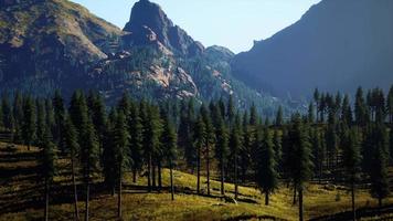 luchtfoto van de Canadese Rockies Mountain video