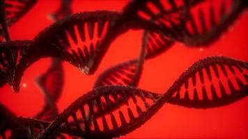 structuur van de dna dubbele helix animatie video