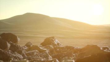 Aerial view on big sand dunes in Sahara desert at sunrise video