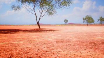 illa sprucken jord under en gassande sol video